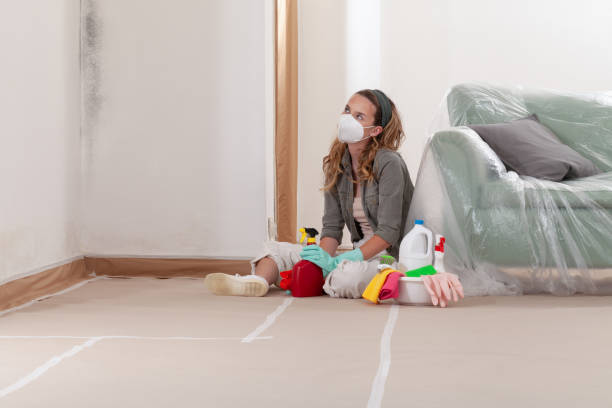 Reliable Black Mold Removal contractor in Accokeek, MD by WQB Mold Removal